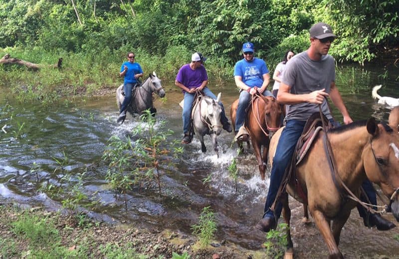 Horseback — Rio Montana Ranch